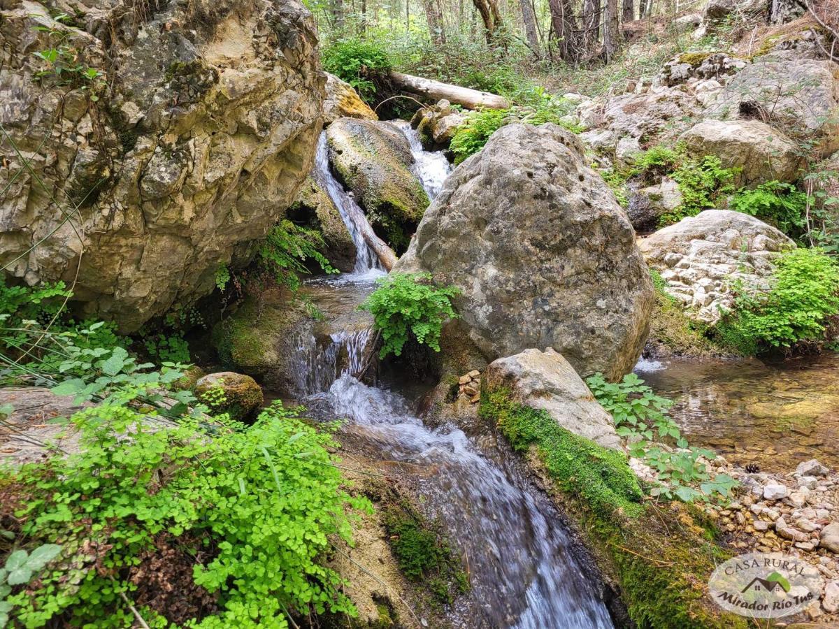 Casa Rural Mirador Del Rio Tus, En Yeste Eksteriør billede