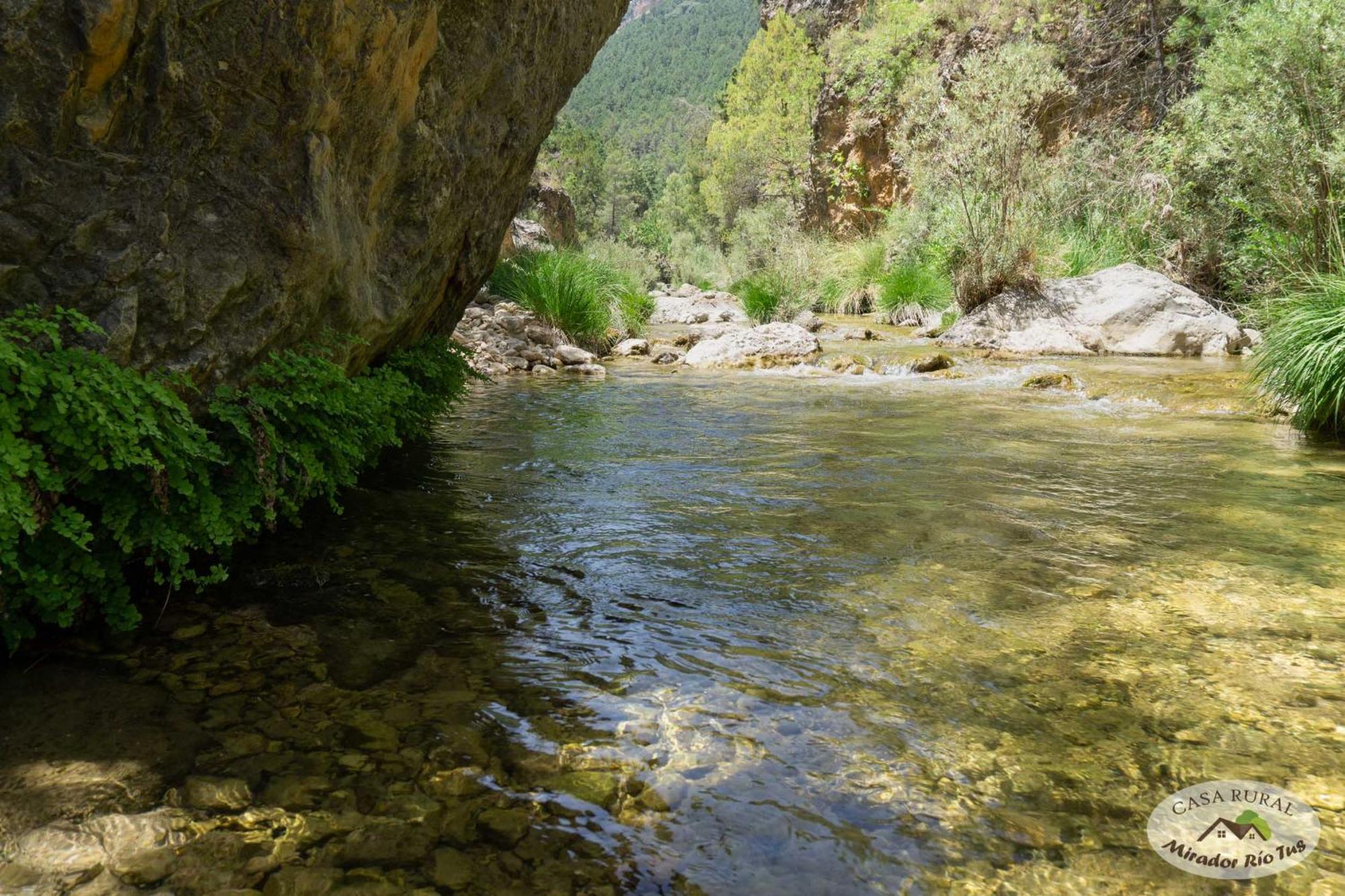 Casa Rural Mirador Del Rio Tus, En Yeste Eksteriør billede